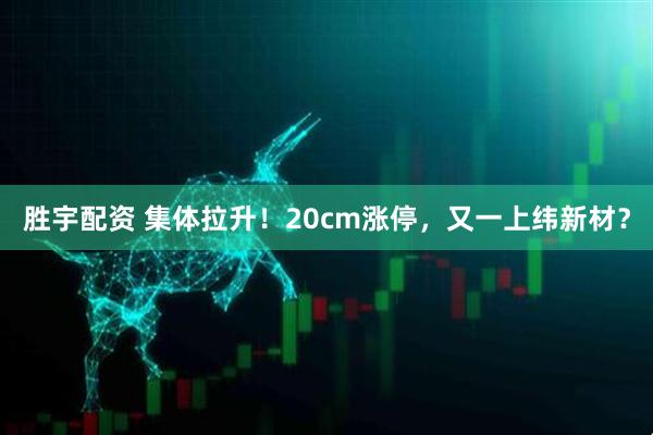 胜宇配资 集体拉升！20cm涨停，又一上纬新材？